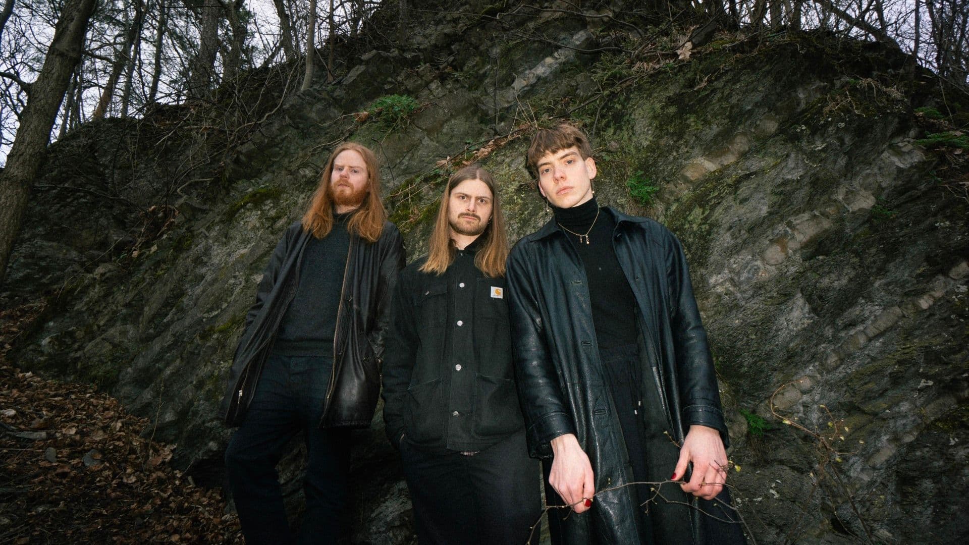 Promotional graphic for ROSA FAENSKAP