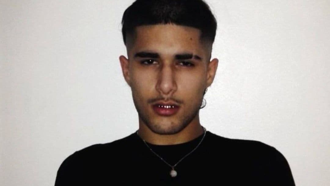 Promotional graphic for fakemink