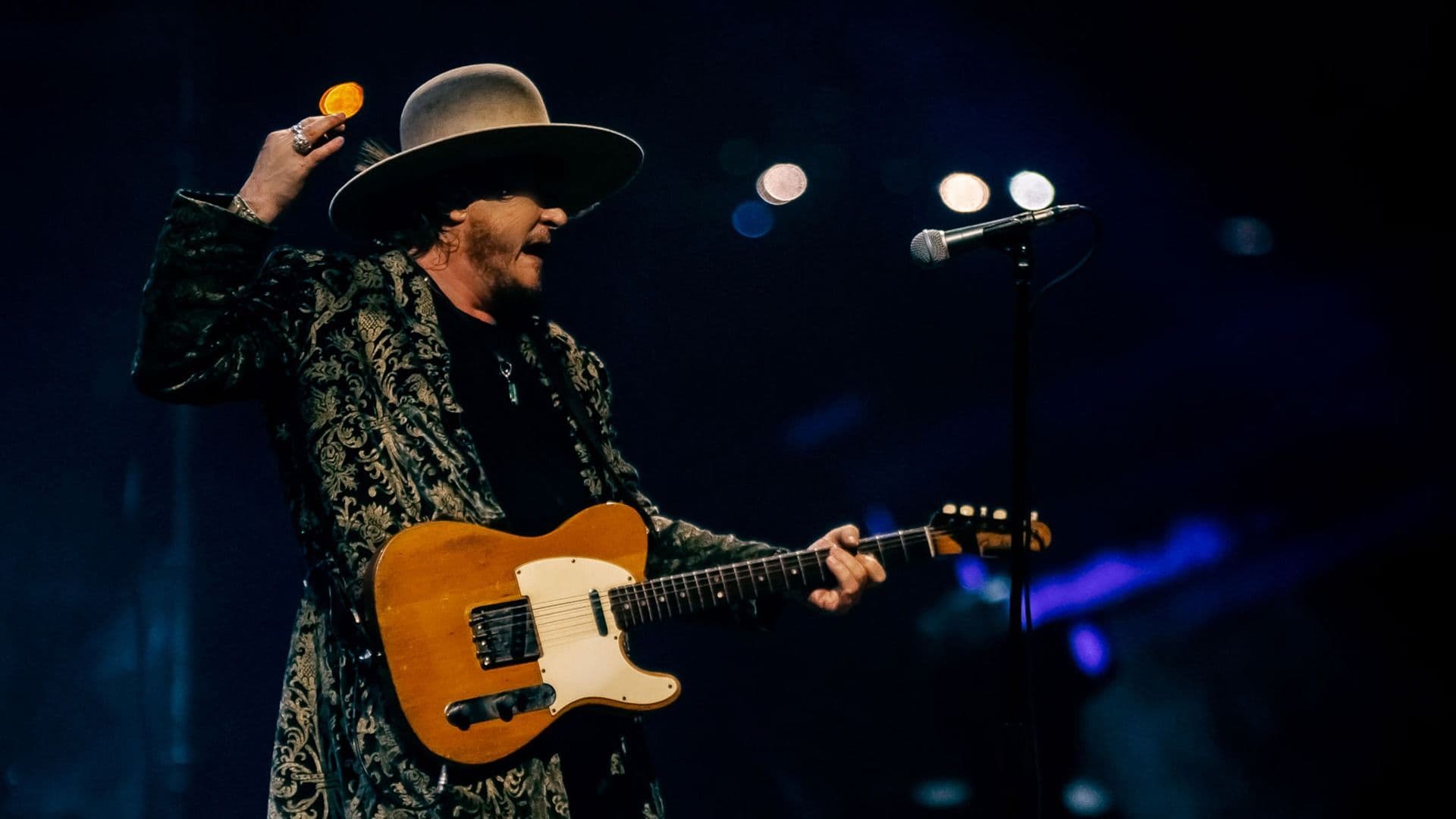 Promotional graphic for Zucchero