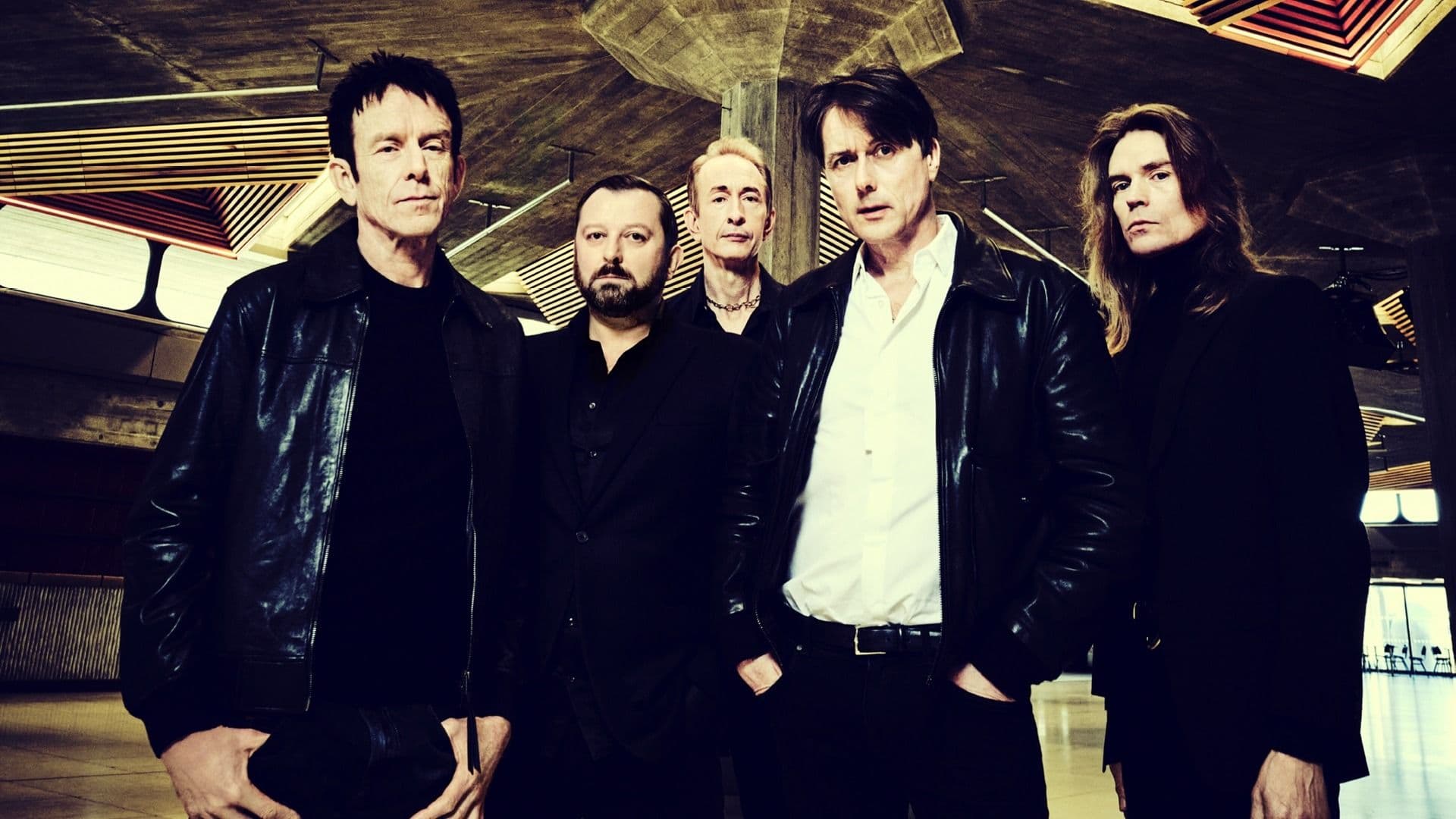 Promotional graphic for Suede